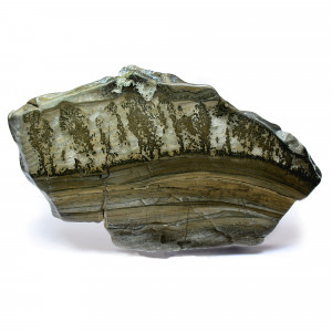 Cotham Marble, Polished ~19cm wide