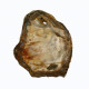 Petrified Wood, Polished Thin Slice ~ 14cm tall