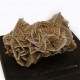 Desert Rose crystal, with gift box ~ 15cm wide