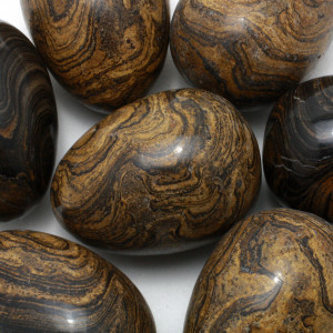 Egg, Stromatolite