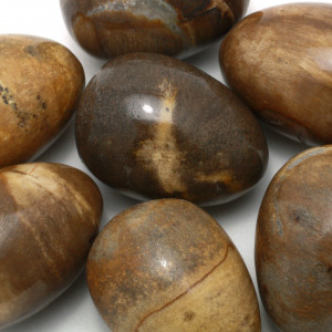 Egg, Petrified Wood