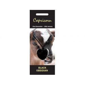 NZ24  Nature Pendant, 5pc  - Black Obsidian ( Capricorn )