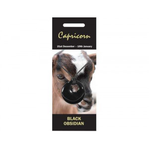 NZ52  Nature Agogo, 5pc  - Black Obsidian ( Capricorn )