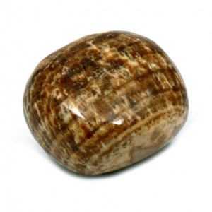 Aragonite - Brown