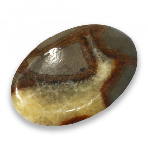 Thumbstone, Septaria