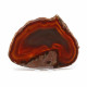 Agate Thin Slice, Natural ~ 16cm