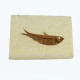 Fossil Fish, Knightia ~ 9cm on limestone matrix ~13cm