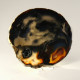 Agate Thin Slice, Natural ~ 16cm with Gift Box + stand