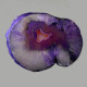 AgateThick Slice, Purple with Crystal Centre  ~16cm