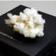 Aragonite - White ~ 10cm with Gift Box