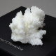 Aragonite - White ~ 8cm with Gift Box