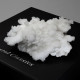 Aragonite - White ~ 11cm with Gift Box