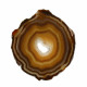 Agate Thin Slice, Natural ~ 14cm with Gift Box & stand
