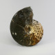 Ammonite, whole ~ 12cm tall