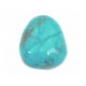 Howlite, Turquoise - Qty 5