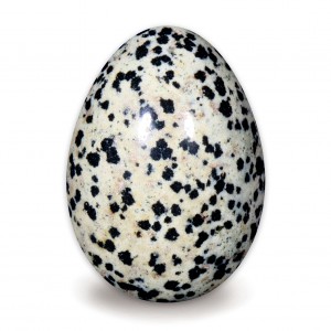 Egg, Jasper - Dalmation