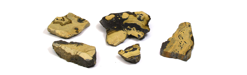 Schalenblende